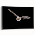 Framed wall art featuring a striking bat design from the Animals A Wild Life collection, showcasing intricate details and a sleek black frame, perfect for nature enthusiasts.