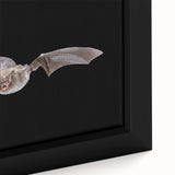Close-up of a framed canvas print showcasing a vibrant bat design, part of a wildlife wall art collection, emphasizing intricate details and textures.