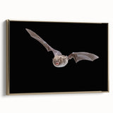 Framed canvas wall art showcasing a bat design from the "Animals A Wild Life" collection, featuring a gold frame and vibrant colors, perfect for wildlife enthusiasts' decor.