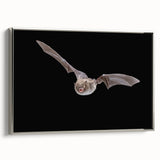 Framed wall art featuring a bat design from the "Animals a Wild Life" collection. The artwork showcases intricate details and a silver frame, perfect for wildlife enthusiasts.
