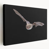 Stretched canvas wall art depicting a whimsical bat design in vibrant colors, ideal for wildlife lovers, showcasing intricate details and unique textures.