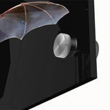 Close-up of a vibrant acrylic wall art piece depicting a detailed bat design, showcasing intricate textures and colors against a clear glass backdrop, perfect for wildlife enthusiasts or modern decor.