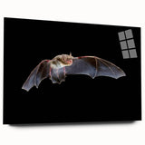 Acrylic wall art collection showcasing a detailed design of a bat in a side view, featuring vibrant colors and intricate patterns, perfect for wildlife enthusiasts.