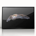 Framed wall art showcasing a striking bat design in a black frame, perfect for wildlife enthusiasts. This acrylic piece adds a modern touch to home decor.