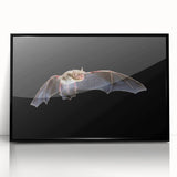 Framed wall art showcasing a striking bat design in a black frame, perfect for wildlife enthusiasts. This acrylic piece adds a modern touch to home decor.