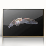 Framed wall art featuring a striking bat design in acrylic with a gold frame, showcasing intricate details and textures, ideal for wildlife enthusiasts and modern decor.