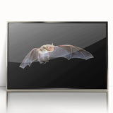 Framed acrylic wall art showcasing a striking bat design, featuring intricate details and a silver frame, perfect for wildlife enthusiasts and modern decor.