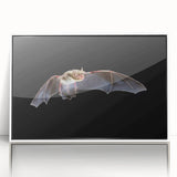 Framed acrylic wall art featuring a wild animal bat design, showcasing intricate details and vibrant colors, perfect for nature enthusiasts and home decor.