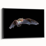 Framed canvas wall art featuring a striking bat design from the 'Animals a Wild Life' collection, showcasing intricate details and a sleek black frame, ideal for wildlife enthusiasts and modern decor.