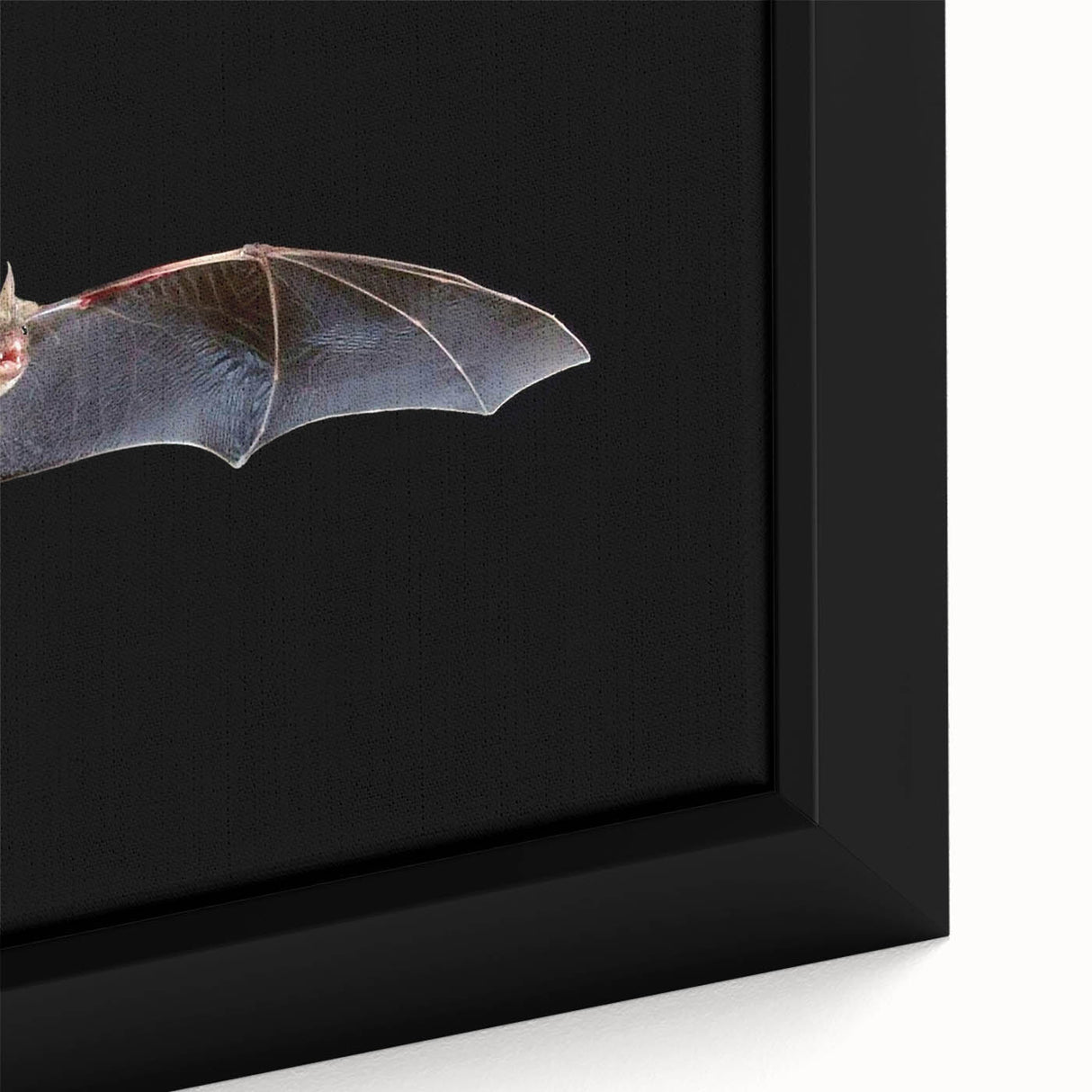 Close-up of a framed wall art canvas featuring a detailed bat design, showcasing intricate textures and vibrant colors, perfect for wildlife enthusiasts.
