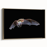 Framed wall art showcasing a bat design with intricate details, set against a gold background, ideal for adding a touch of wildlife elegance to home decor.