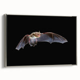 Framed canvas wall art featuring a silver bat design from the 'Animals A Wild Life' collection, showcasing intricate details and a modern aesthetic, perfect for wildlife enthusiasts.
