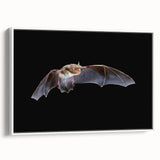 Framed canvas wall art featuring a vibrant bat design from a wildlife collection, showcased in a sleek white frame, ideal for animal lovers and home decor enthusiasts.
