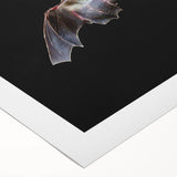 Rolled canvas art showcasing a vibrant bat design, part of a wildlife collection, with intricate details and rich colors, ideal for enhancing home decor.