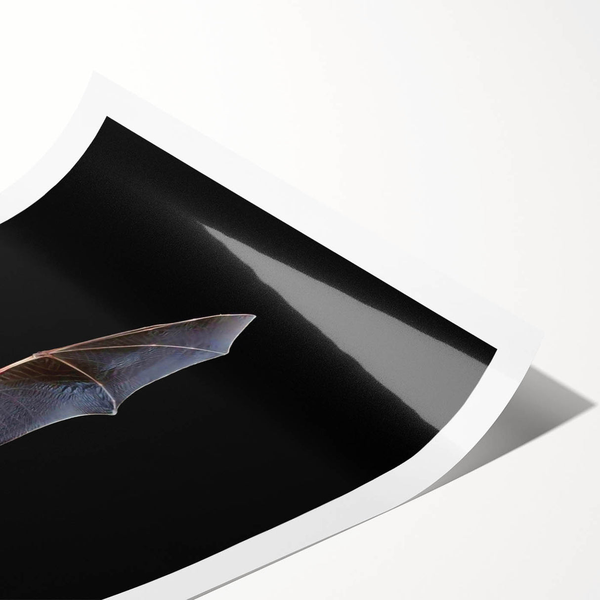 Bat-themed wall art print featuring intricate designs and vibrant colors, showcasing wildlife aesthetics perfect for nature enthusiasts. The rolled print is ideal for framing and adds a unique touch to home decor.
