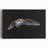 Stretched canvas artwork showcasing a captivating bat design from the Animals of the Wild collection, featuring intricate details and vibrant colors, ideal for wildlife enthusiasts.