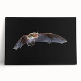 Stretched canvas wall art featuring a bat design from a wildlife collection, showcasing intricate details and vibrant colors, perfect for animal lovers’ decor.