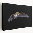 Stretched canvas wall art featuring a detailed bat design, showcasing intricate patterns and vibrant colors, ideal for wildlife enthusiasts and unique decor.