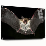 Acrylic glass wall art featuring a bat design from the Animals A Wild Life collection, showcasing intricate details and vibrant colors, displayed side view with pins.