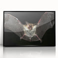 Framed wall art featuring a striking bat design from the "Animals A Wild Life" collection, presented in a sleek black frame, ideal for modern decor.