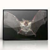 Framed wall art featuring a striking bat design from the "Animals A Wild Life" collection, presented in a sleek black frame, ideal for modern decor.