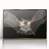 Framed acrylic wall art showcasing a striking bat design in gold, ideal for wildlife enthusiasts, adding a touch of nature-inspired elegance to any space.