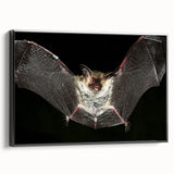 Framed canvas wall art featuring a detailed bat design from the Animals A Wild Life collection, showcasing intricate textures, set against a black background.