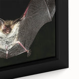 Close-up of a framed canvas wall art piece showcasing a vibrant bat design, featuring intricate details and rich colors, perfect for wildlife enthusiasts and home decor.