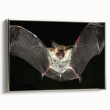 Framed canvas wall art depicting a stylish bat design from the Wild Life collection, featuring silver accents and a modern aesthetic, ideal for wildlife enthusiasts.