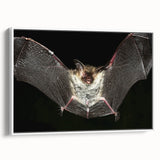Framed wall art showcasing a bat design in a white frame, highlighting intricate details and textures, perfect for wildlife enthusiasts and modern decor.