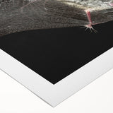 Rolled canvas artwork showcasing a vibrant bat design, part of a wildlife wall art collection, with intricate details and vivid colors, ideal for nature lovers.