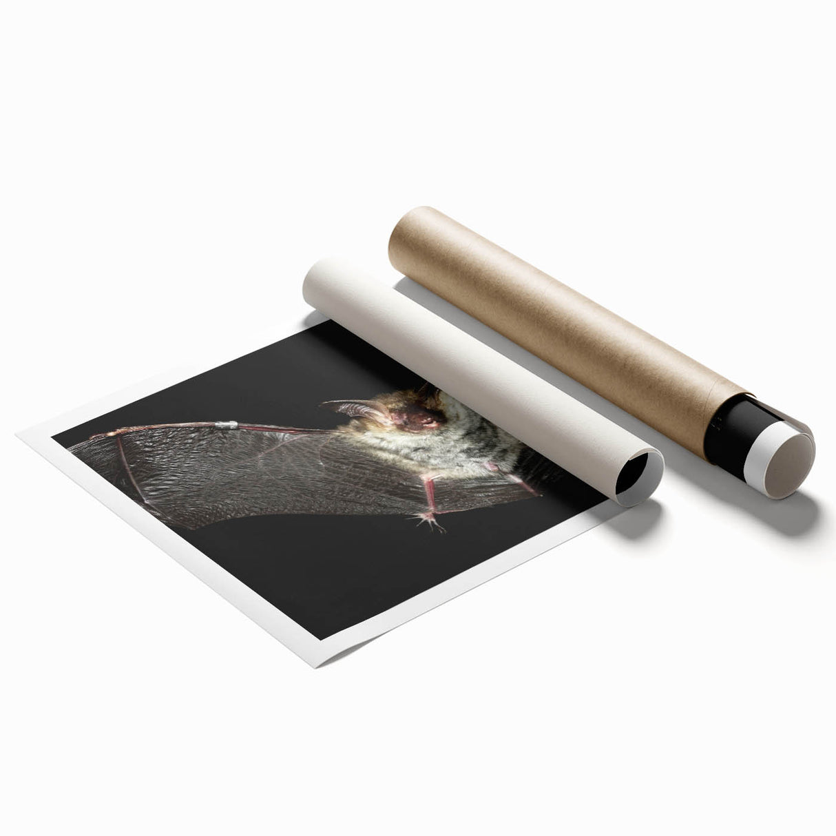 Bat-themed wall art print showcasing a vibrant, detailed illustration of a bat in a natural setting, perfect for wildlife enthusiasts and home decor.