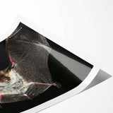 Rolled art print featuring a vibrant bat design from the "Animals of the Wild" collection, showcasing intricate details and rich colors, perfect for wildlife enthusiasts.