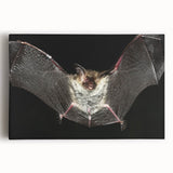 Stretched canvas wall art showcasing a detailed bat design, featuring rich colors and intricate patterns, perfect for wildlife enthusiasts and modern decor.