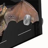 Close-up view of a vibrant bat design wall art piece, showcasing intricate details and colors on acrylic glass, ideal for wildlife enthusiasts and modern decor.