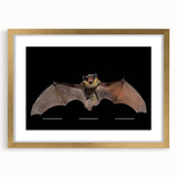 Framed wall art showcasing a detailed bat design in a gold frame, complete with a mat for an elegant touch, perfect for wildlife enthusiasts and modern decor.