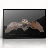 Framed wall art featuring a bat design from the "Animals of the Wild" collection, showcasing intricate details and a sleek black frame, perfect for nature enthusiasts.