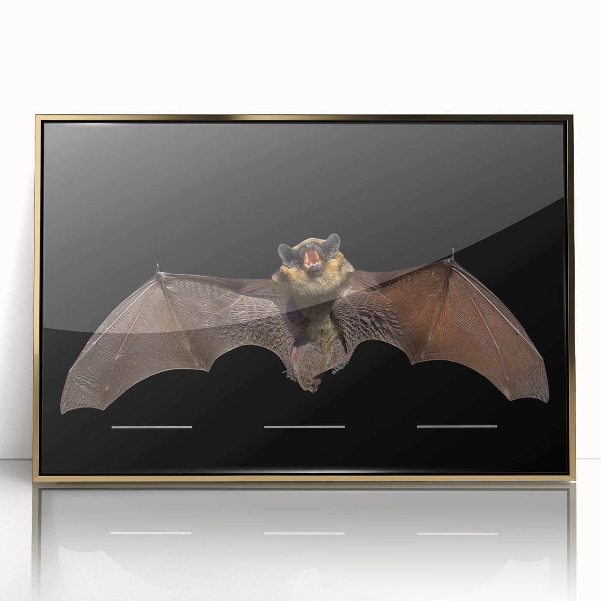 Framed acrylic wall art showcasing a striking bat design from the 'Animals of the Wild' collection, featuring gold accents and a sleek front view for modern decor. Ideal for nature lovers and wildlife enthusiasts looking to enhance their living space with unique art.
