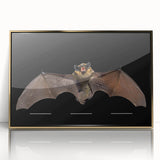 Framed acrylic wall art showcasing a striking bat design from the 'Animals of the Wild' collection, featuring gold accents and a sleek front view for modern decor. Ideal for nature lovers and wildlife enthusiasts looking to enhance their living space with unique art.