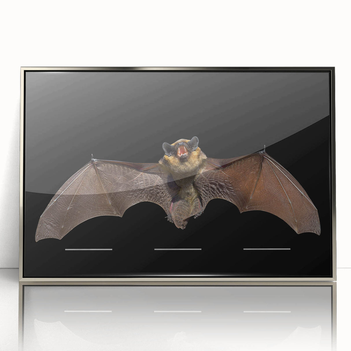Framed acrylic wall art featuring a detailed bat design, showcasing intricate textures and vibrant colors, ideal for wildlife enthusiasts and modern decor.