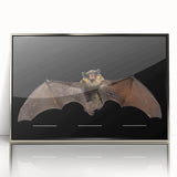 Framed acrylic wall art featuring a detailed bat design, showcasing intricate textures and vibrant colors, ideal for wildlife enthusiasts and modern decor.