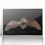 Framed wall art featuring a detailed bat design from the 'Animals A Wild Life' collection, showcasing intricate patterns and a sleek white frame, perfect for nature lovers.