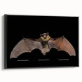 Framed wall art showcasing a striking bat design from the Animals A Wild Life collection, featuring a sleek black frame and a side view perspective, perfect for modern decor.