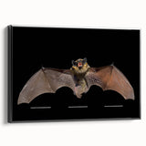 Framed wall art showcasing a striking bat design from the Animals A Wild Life collection, featuring a sleek black frame and a side view perspective, perfect for modern decor.