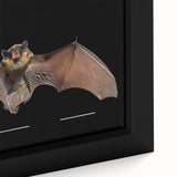 Close-up of a framed canvas art piece showcasing a bat design, featuring intricate details and vibrant colors, ideal for wildlife enthusiasts and home decor.