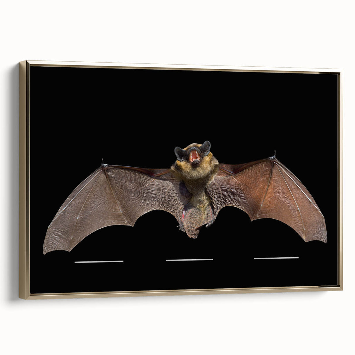 Framed wall art featuring a detailed bat design in a wild animal theme, set against a gold background, showcasing intricate textures and vibrant colors, ideal for home decor.