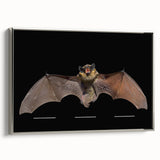 Framed wall art featuring a bat design from the 'Animals A Wild Life' collection, showcasing intricate details and a sleek silver frame, ideal for nature-themed decor.