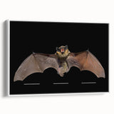 Framed canvas wall art featuring a stylized bat design, showcasing intricate details and textures. The artwork is elegantly displayed against a white background, perfect for wildlife-themed decor in modern interiors.