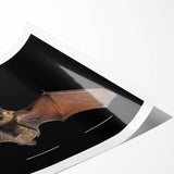 Rolled print showcasing a detailed bat design from the Animals A Wild Life collection, featuring vibrant colors and intricate patterns, perfect for wildlife enthusiasts.