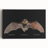 Stretched canvas wall art featuring a vibrant bat design in an abstract style, showcasing intricate details and bold colors, perfect for enhancing home decor.